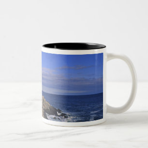 Portland Head Light vuurtoren Maine Tweekleurige Koffiemok
