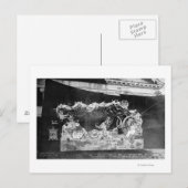 Portland, OF Parade Float Pearls of the Pacific Briefkaart (Voorkant / Achterkant)