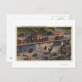 Portland, ORBar Dens in Washington Park Briefkaart (Voorkant / Achterkant)