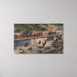 Portland, ORBar Dens in Washington Park Canvas Afdruk