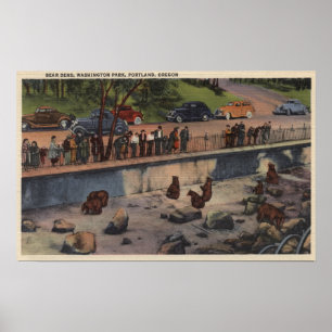 Portland, ORBar Dens in Washington Park Poster