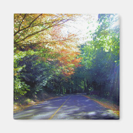 Portland, Oregon Road naar het Roos Garden Magneet