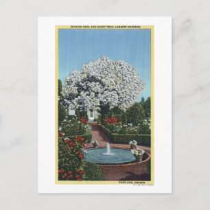 Portland, Oregon - Spaanse pool- en ghost-boom Briefkaart