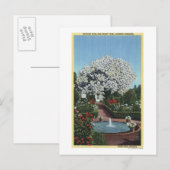 Portland, Oregon - Spaanse pool- en ghost-boom Briefkaart (Voorkant / Achterkant)