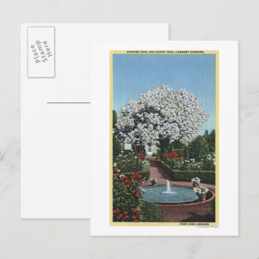 Portland, Oregon - Spaanse pool- en ghost-boom Briefkaart (Voorkant / Achterkant)