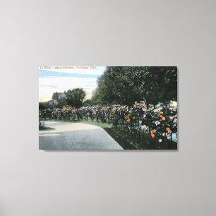Portland, OregonView of a Roos Garden Canvas Afdruk