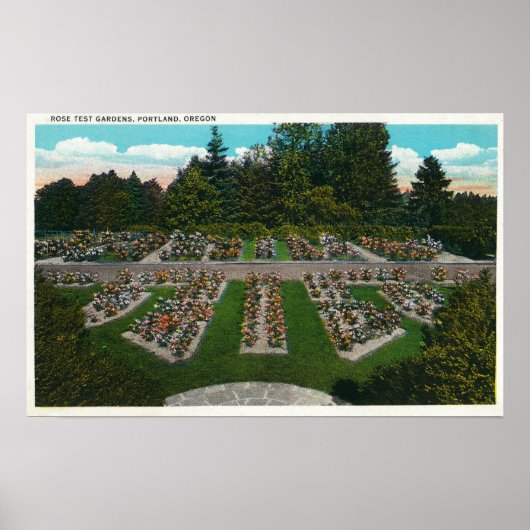 Portland, OregonView of the Roos Test Gardens Poster (Voorkant)
