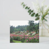 Portland Roos Garden. Briefkaart (Staand voorkant)
