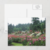 Portland Roos Garden. Briefkaart (Voorkant / Achterkant)
