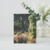 Portland Roos Garden Briefkaart (Staand voorkant)