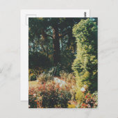 Portland Roos Garden Briefkaart (Voorkant / Achterkant)