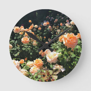 Portland Roos Garden Ronde Klok