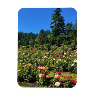 Portland Rose Garden, OR Magneet