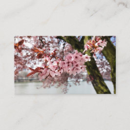 Portland's roze Embrace: Cherry Blossom Serenity Visitekaartje