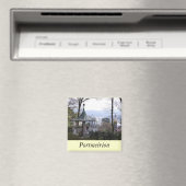 Portmeirion Magneet (Insitu (Vaatwasser))