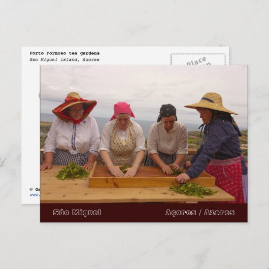 Porto Formoso-theetuinen Briefkaart (Voorkant / Achterkant)