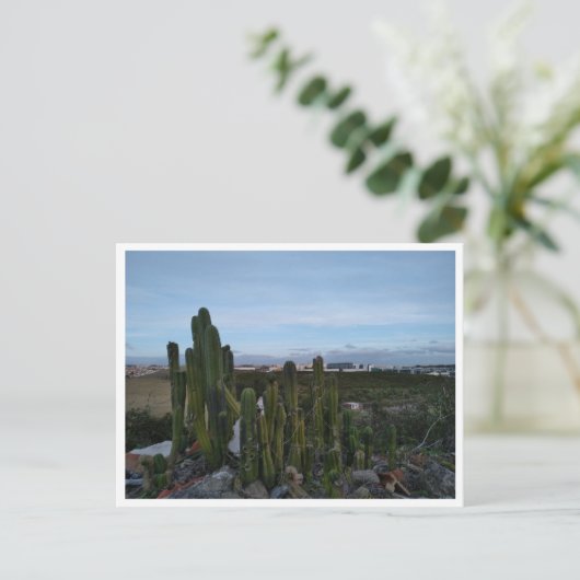 Porto Salvo (Portugal) Briefkaart (Staand voorkant)