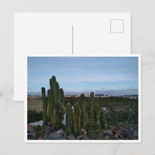 Porto Salvo (Portugal) Briefkaart (Voorkant / Achterkant)