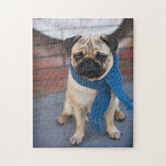Portrait Cute Pug Dog met Blue Scarf, City Dog Legpuzzel