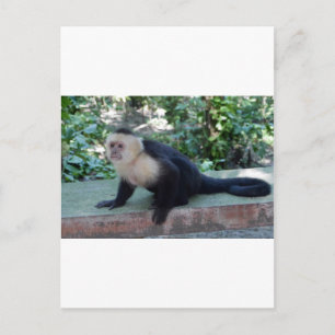 Portrait.JPG Briefkaart