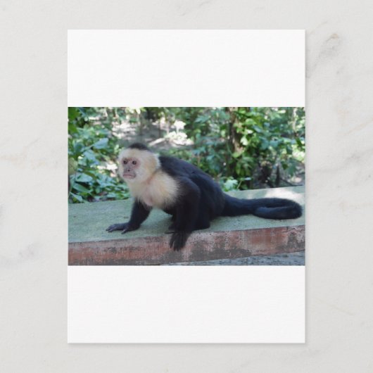 Portrait.JPG Briefkaart (Voorkant)