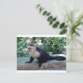 Portrait.JPG Briefkaart (Staand voorkant)