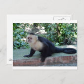 Portrait.JPG Briefkaart (Voorkant / Achterkant)