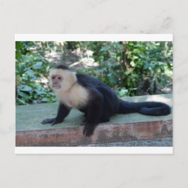 Portrait.JPG Briefkaart