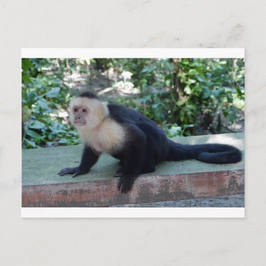 Portrait.JPG Briefkaart (Voorkant)