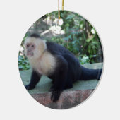 Portrait.JPG Keramisch Ornament (Links)