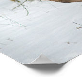 Portrait of a Doe Poster (Hoek)