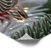 Portrait Of A Hunting Falcon Real Photo Poster (Hoek)