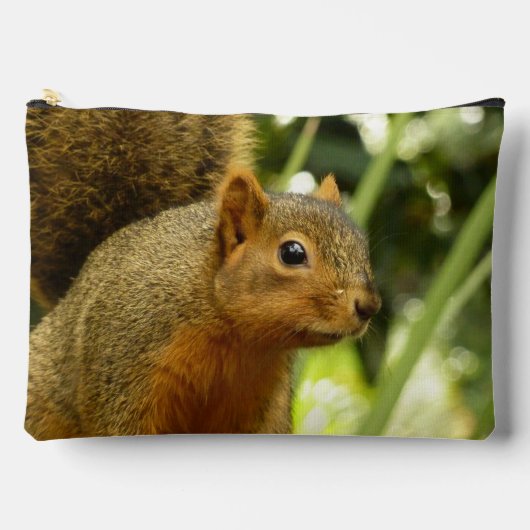 Portrait of a Squirrel Nature Animal Photography Etui (Voorkant)