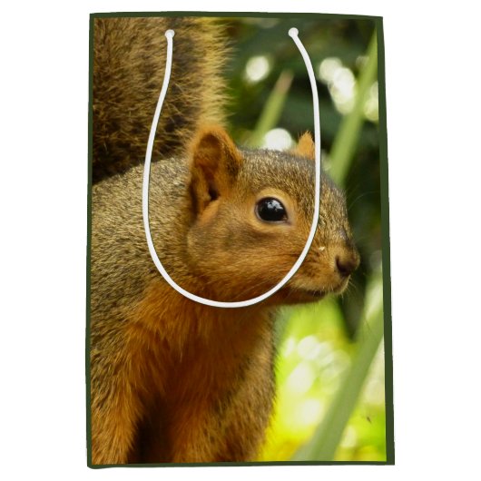Portrait of a Squirrel Nature Animal Photography Medium Cadeauzakje (Voorkant)