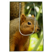 Portrait of a Squirrel Nature Animal Photography Medium Cadeauzakje (Achterkant)