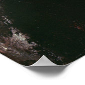 Portrait of Jeanne Hebuterne in a large hat Poster (Hoek)