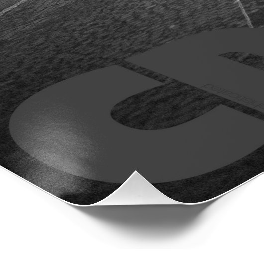 Portrait of Paris Perfect Poster (Hoek)