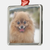 Portrait Pomeranian Dog Metalen Ornament (Links)