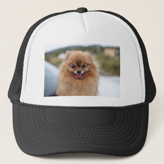 Portrait Pomeranian Dog Trucker Pet (Voorkant)
