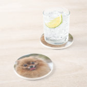 Portrait Pomeranian Dog Zandsteen Onderzetter (Zijkant)