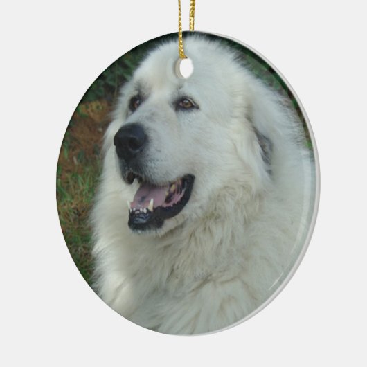 PORTRAIT VAN DE ORNAMENT Great Pyreneeën CHRISTMAS (Links)