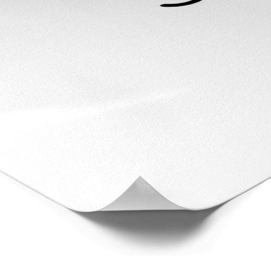 PORTRAIT VAN EEN AVIATRIX POSTER (Hoek)