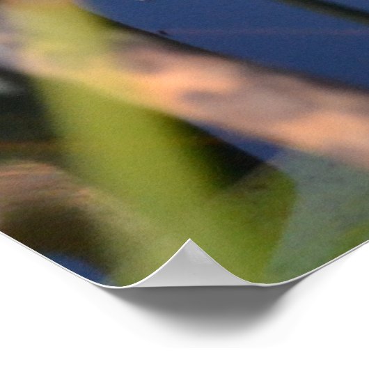 PORTRAIT VAN EEN FROG POSTER (Hoek)