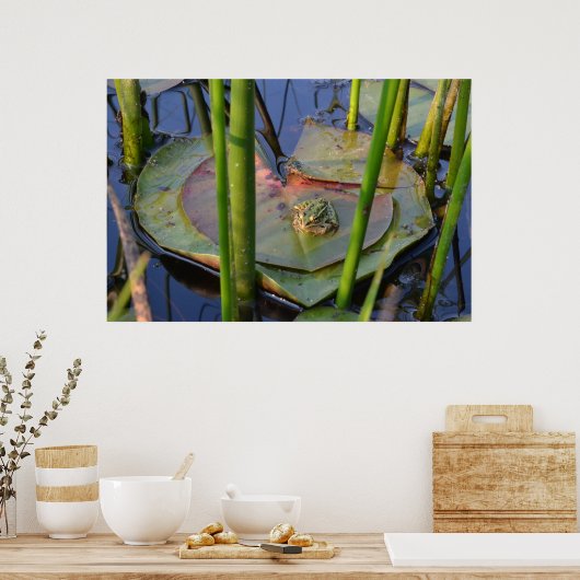 PORTRAIT VAN EEN FROG POSTER (Keuken)