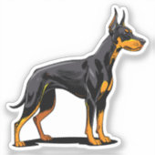 Portraits of a head Doberman dog front view Sticker (Voorkant)