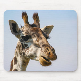 Porträt einer Giraffe Muismat