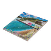 Portree Isle of Skye Scotland   Tegeltje (Zijkant)