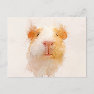 Portret 001 van de Guinese Varkens Briefkaart