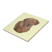 Portret afbeelding Rare rode labrador retreiver do Tegeltje (Zijkant)