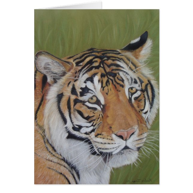 portret afbeelding van een tijgerkat (Voorkant)